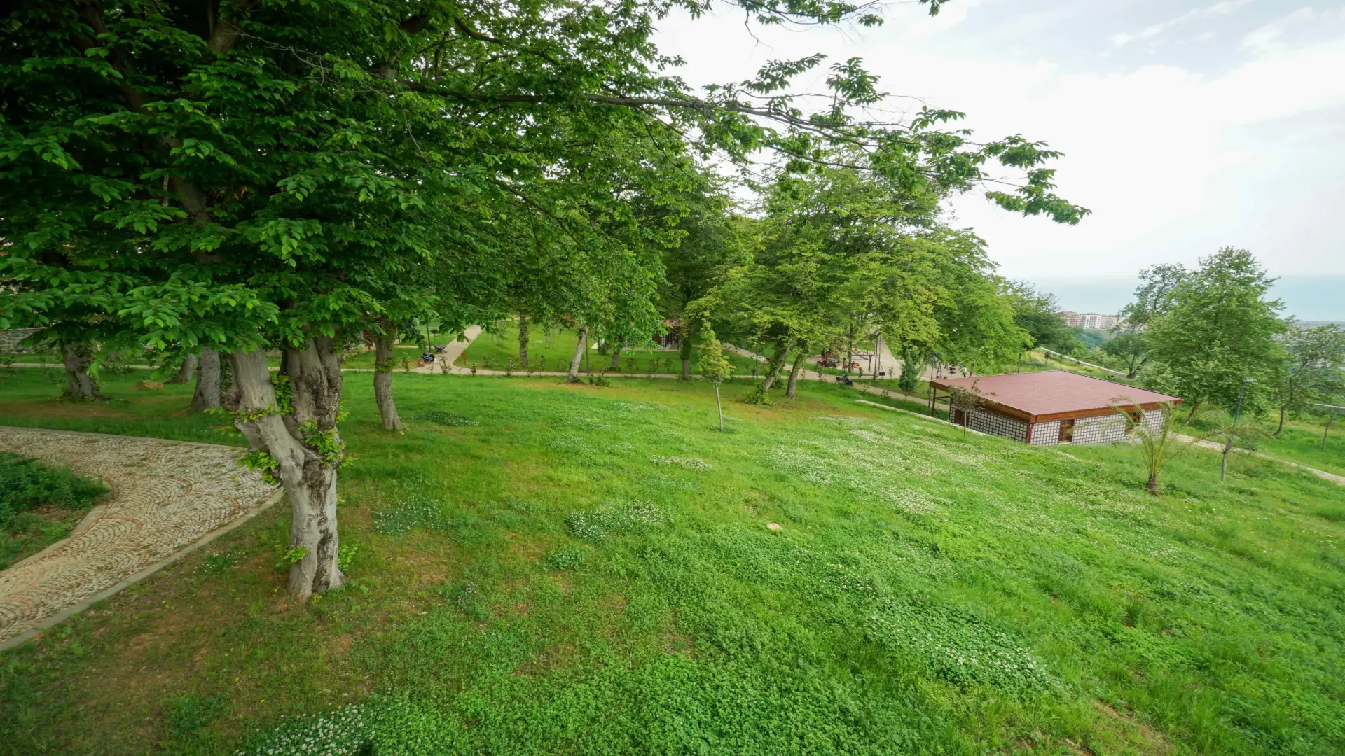 Botanik parki trabzon 36